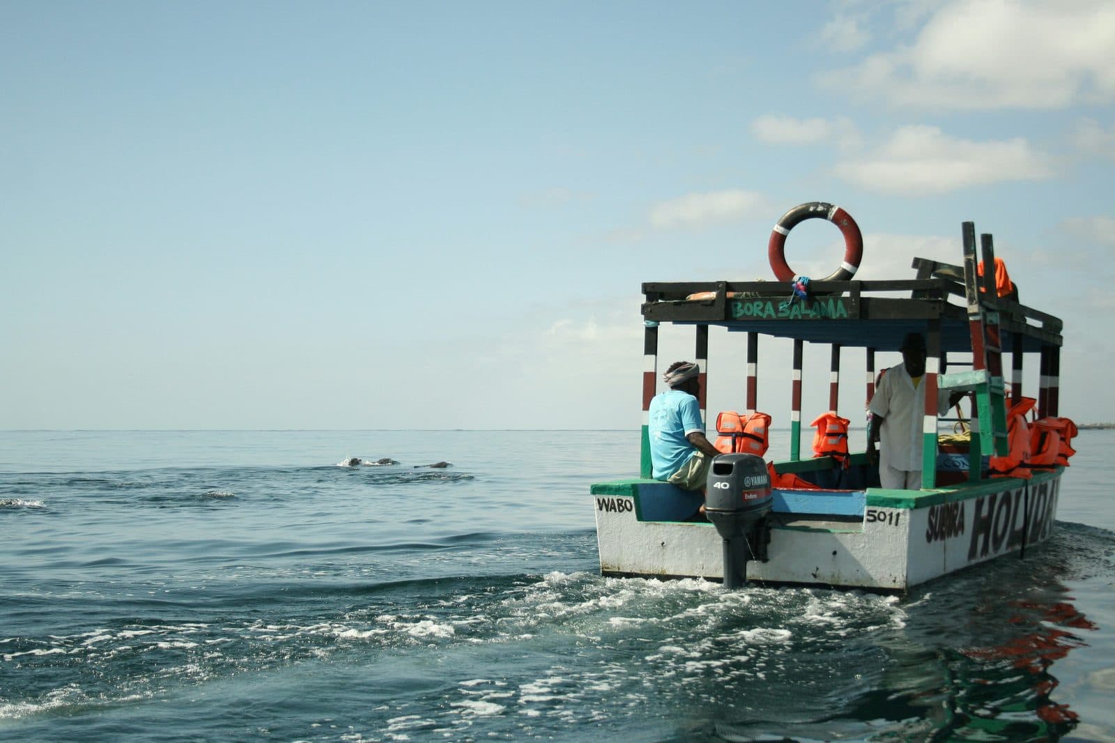 Turtle Watch & Conservation